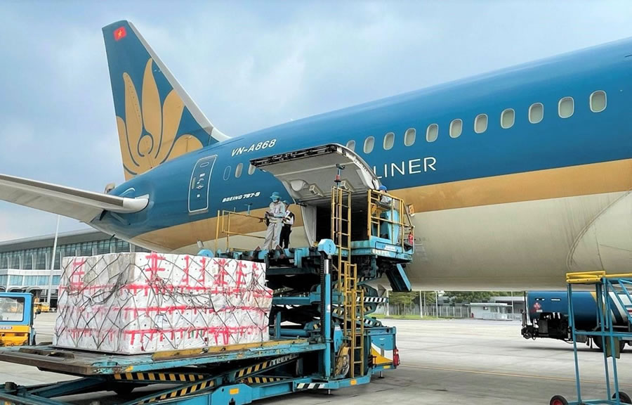 Vận chuyển hàng hóa Việt Nam đi Mỹ